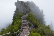 世界田径耐力测试营：科学训练成为主流，田径耐力跑训练的常用手段